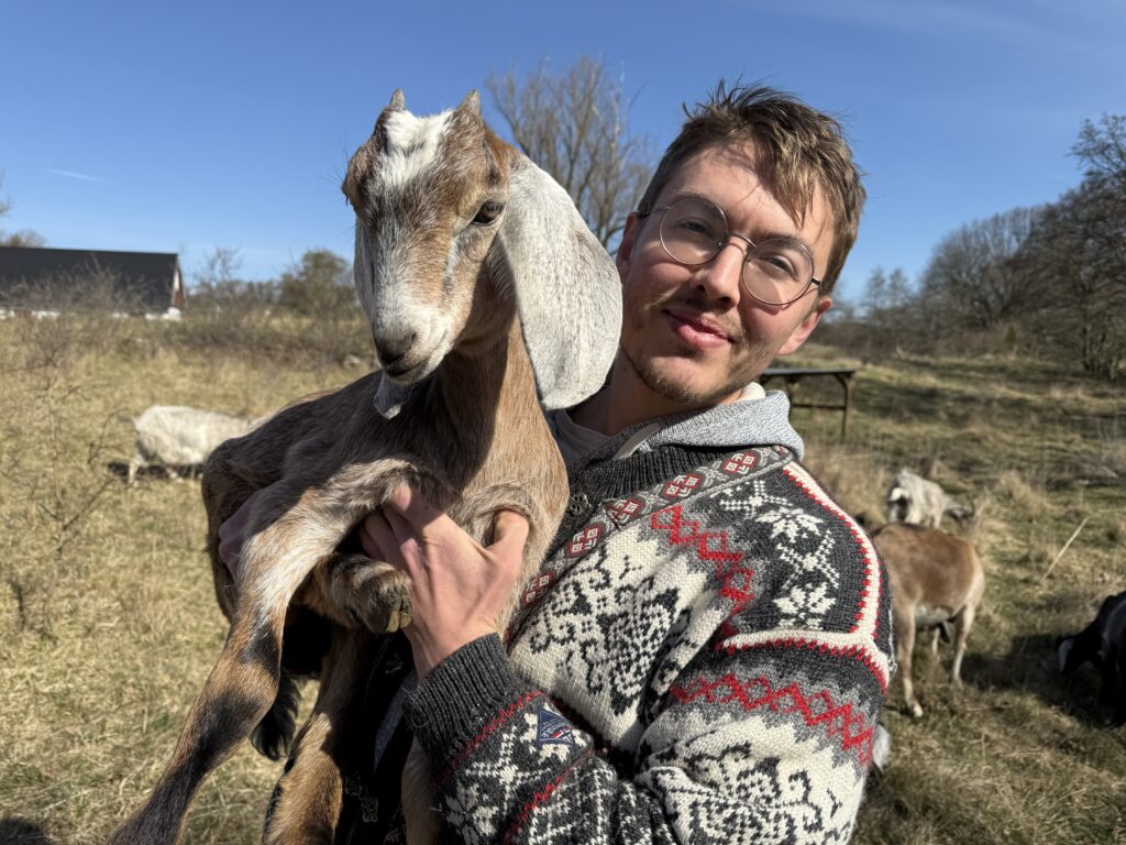 Oskar Edwall driver getfarm på Österlen. Målet är att bli självförsörjande på glass från getternas mjölk.
