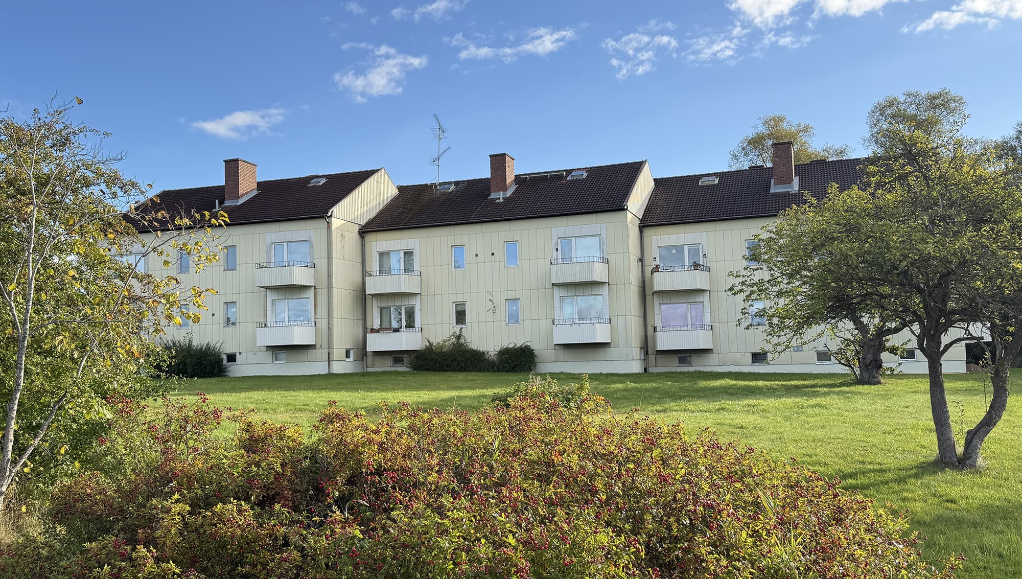 ”Han styr huset som en diktator”