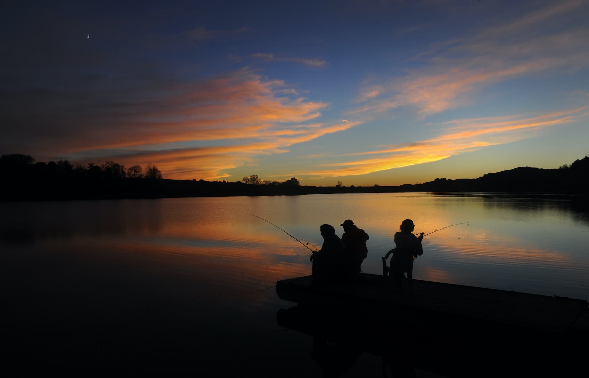 Rekordmycket fisk i Ringsjön
