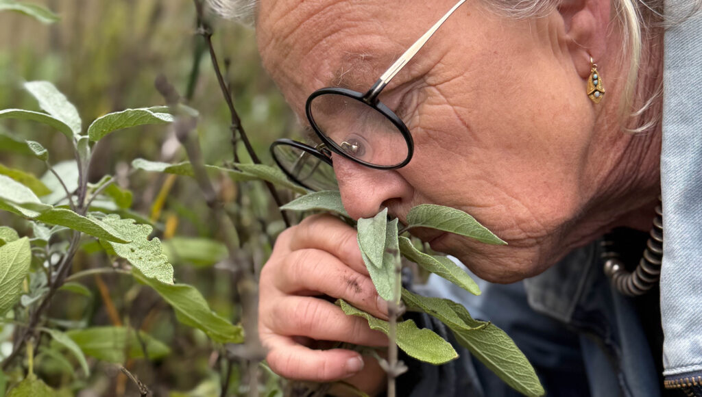 Kvinna luktar på salvia