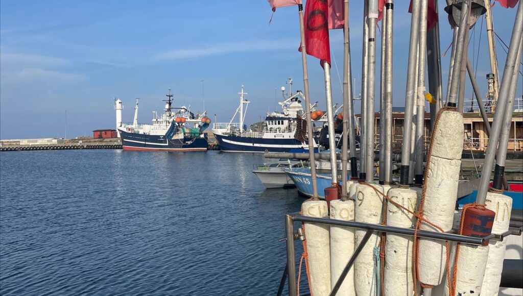 Simrishamns fiskehamn