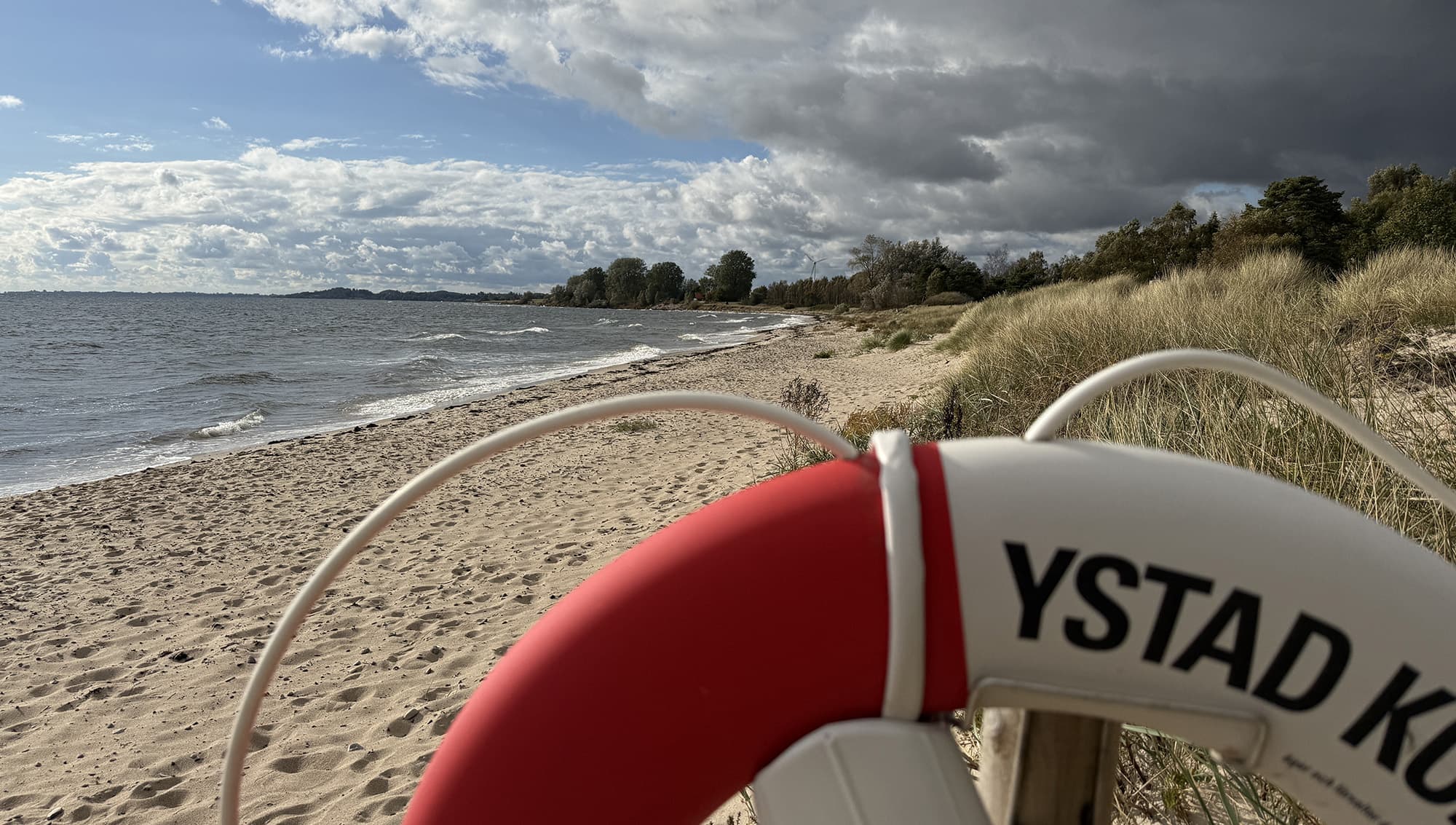 Här är de tio mest lästa reportagen under året