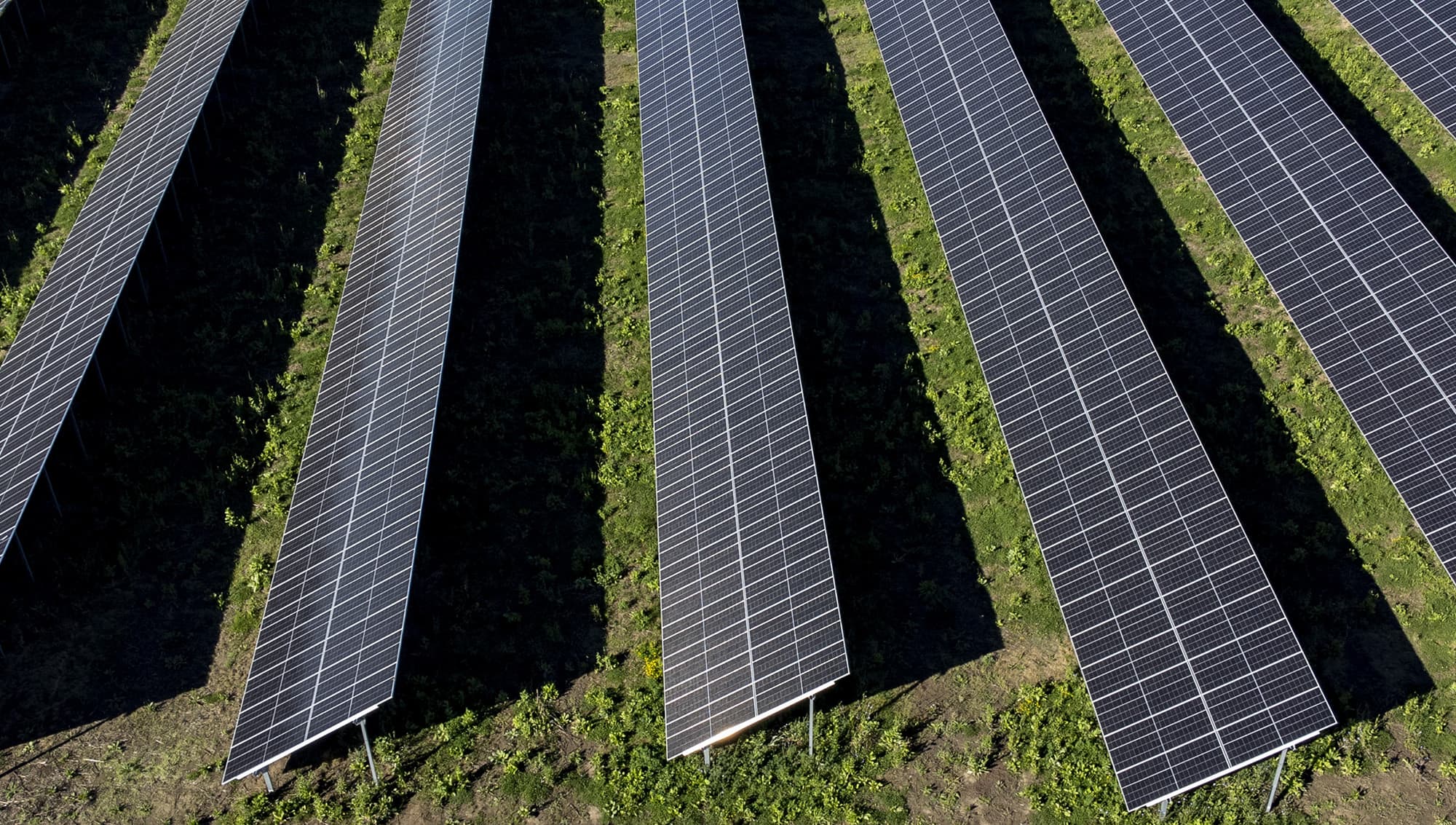 Ny solcellspark planeras i Knislinge