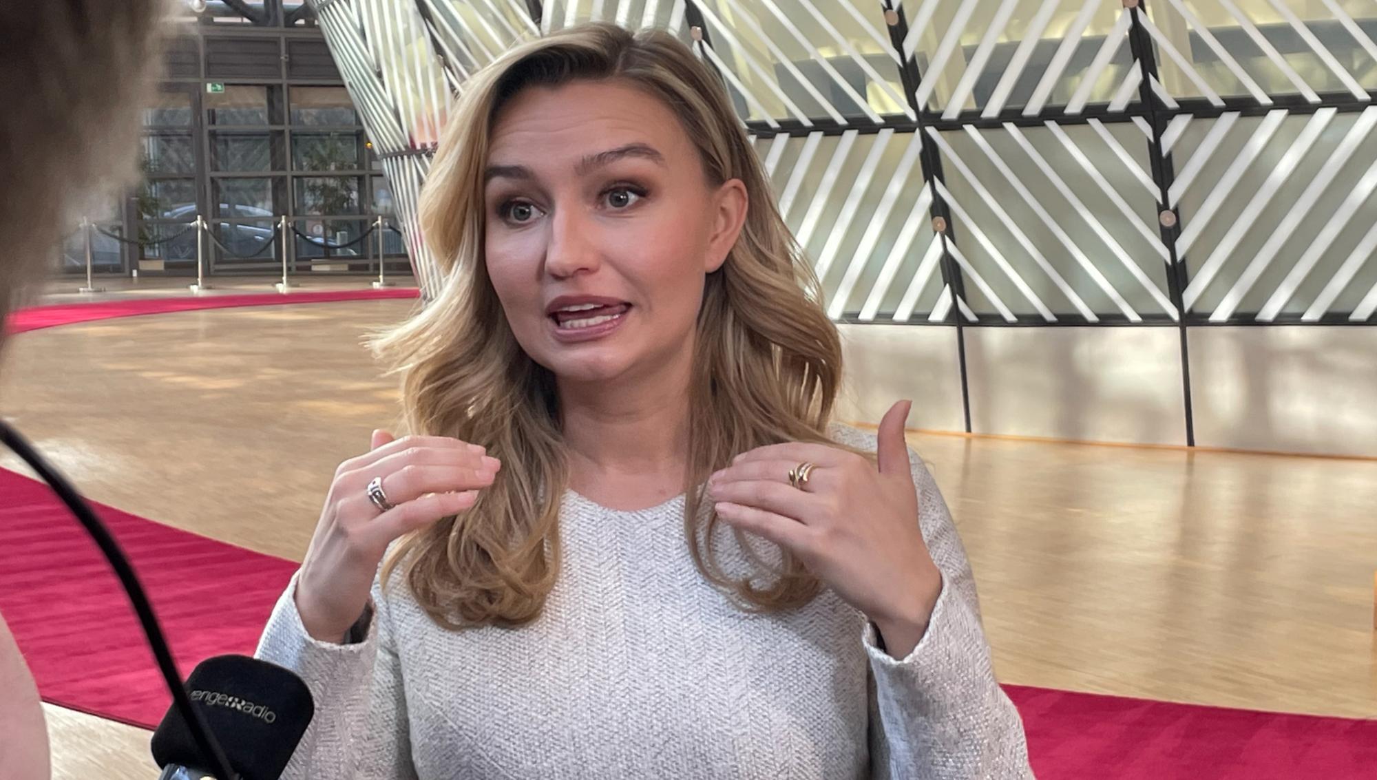 Busch hotar Danmark: Nya elledningar kan stoppas i EU-strid