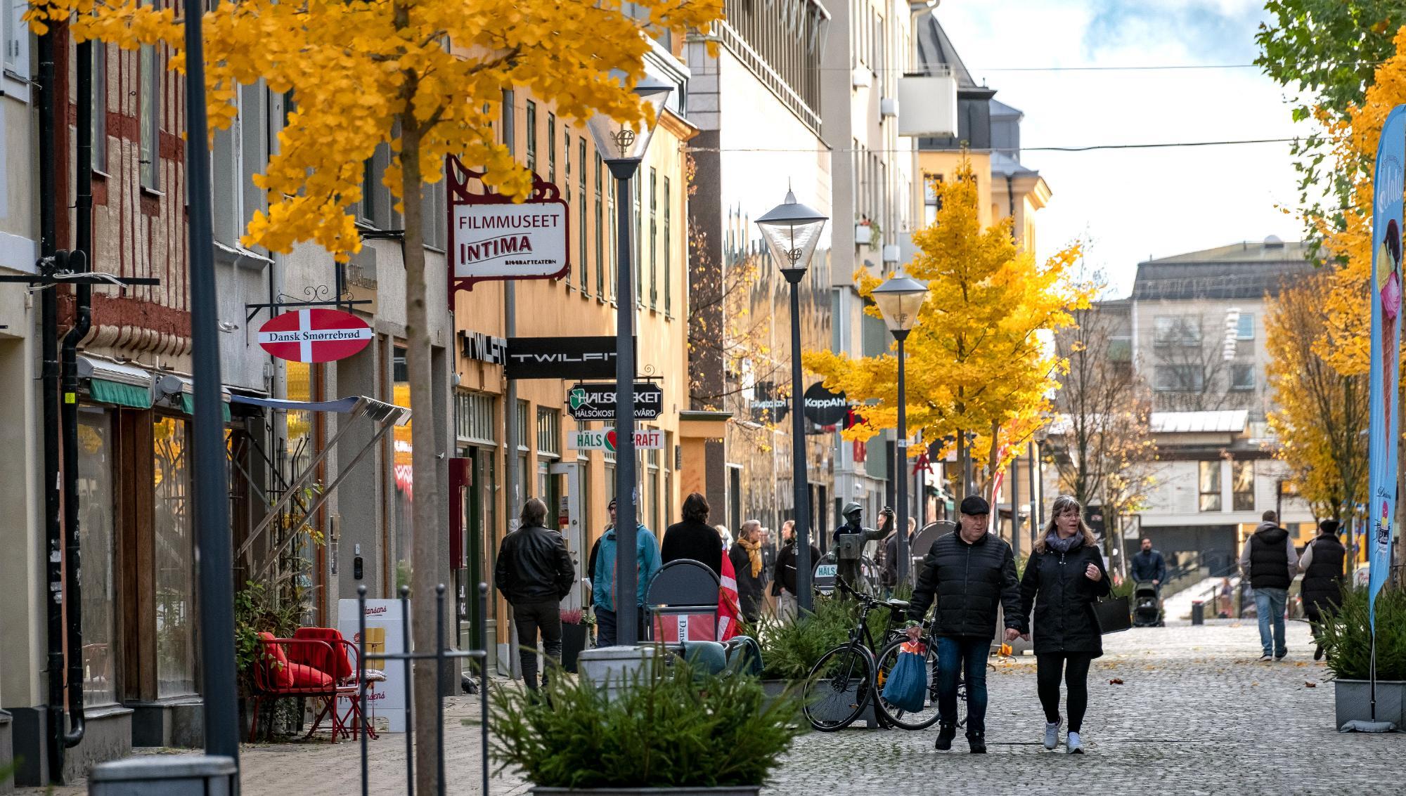 Socialdemokraterna motsätter sig hotellplaner på badhustomten