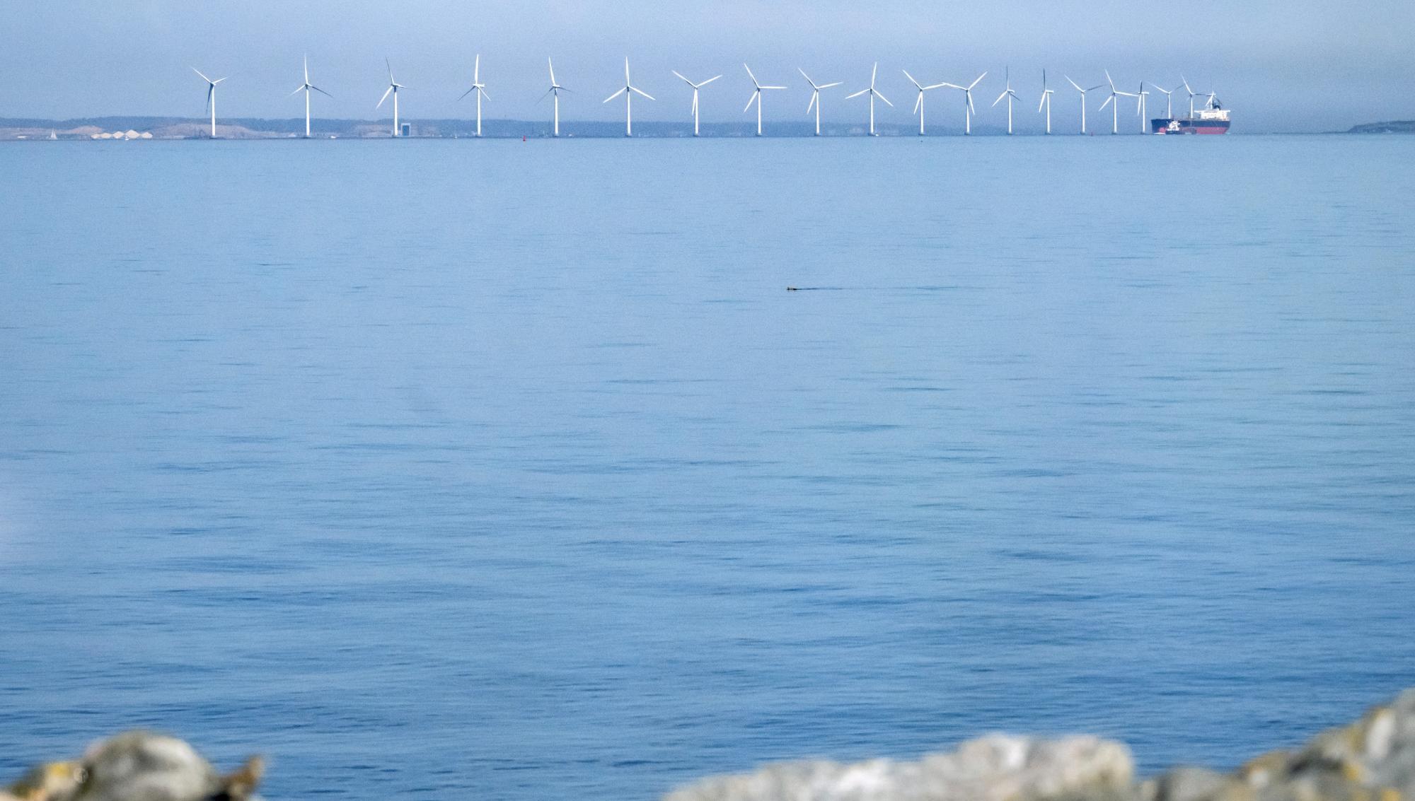 Öresund blir Danmarks första marina naturreservat
