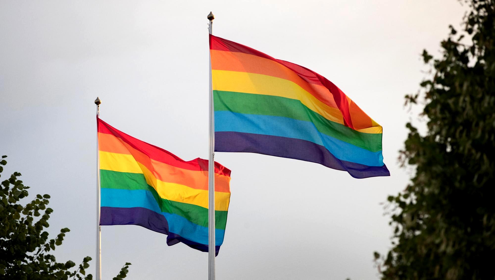 SD vill inte hissa prideflaggan – ”Som kommun ska vi vara neutrala”