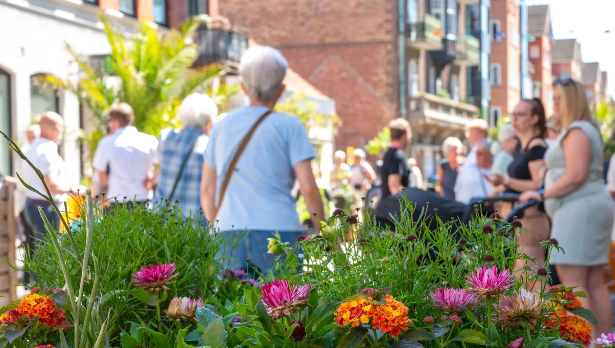 Sommargatan i Trelleborg flyttar och får nytt fokus