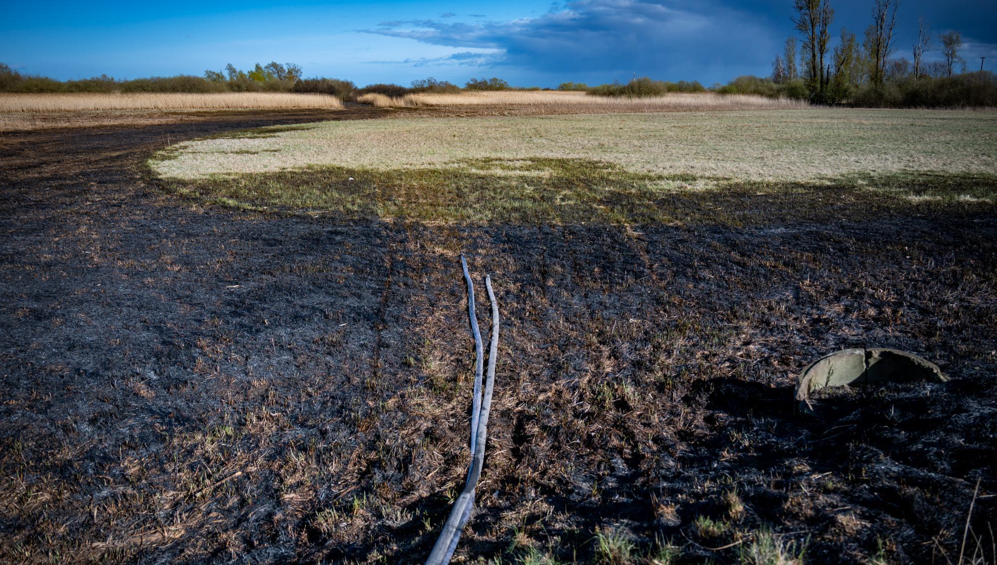 Extremtorka i delar av Skåne – eldningsförbud i flera kommuner
