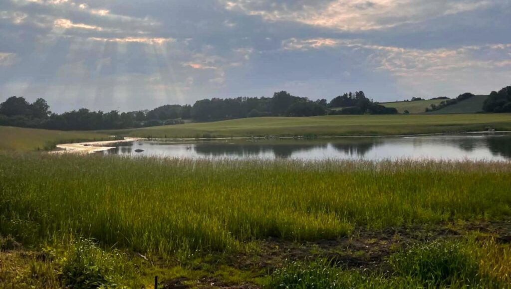Solljus bryter igenom molnen över en stilla spegelblank sjö omgiven av gröna fält och skogspartier.