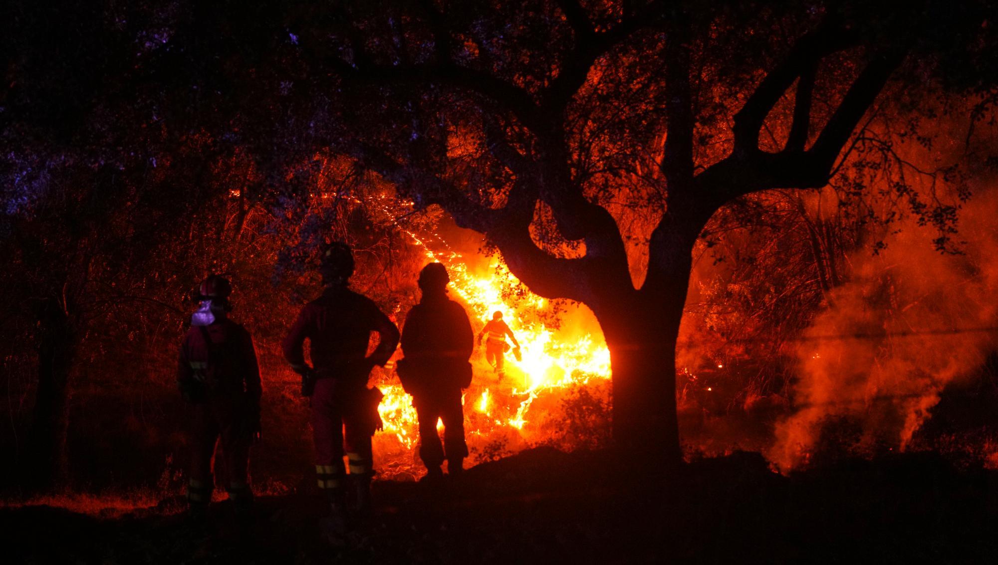 Brandmän försöker att hejda en skogsbrand som fortsätter att sprida sig nära Cebreros i provinsen Ávila i Spanien. Foto: AP/Manu Fernandez