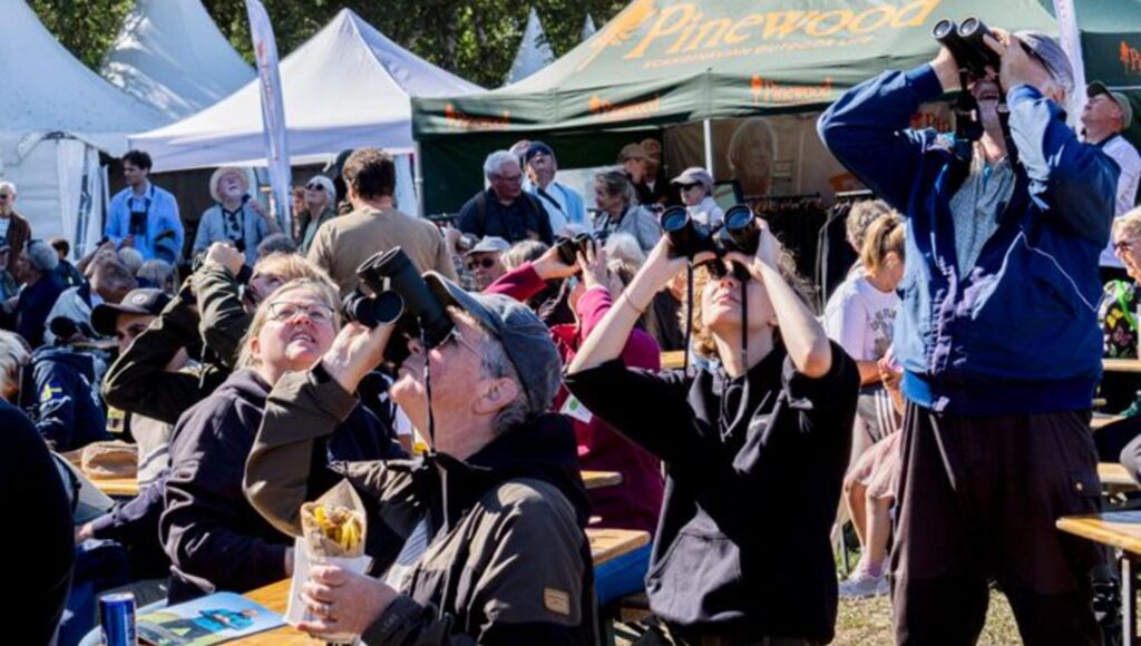 Folkmassa utomhus där flera personer tittar upp mot himlen genom kikare framför vita tält.