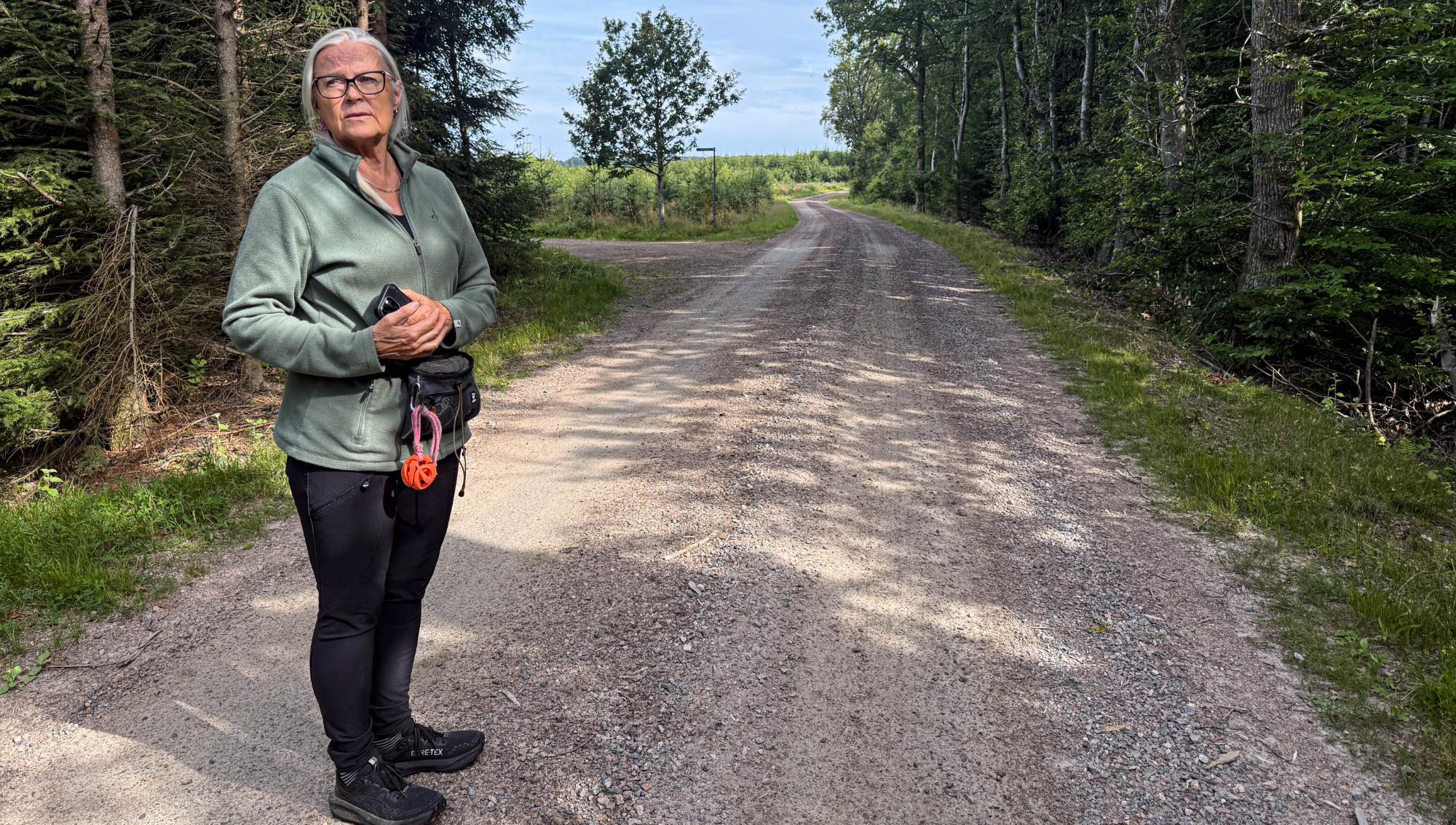 Bergtäktsplaner vid Söderåsen möter motstånd